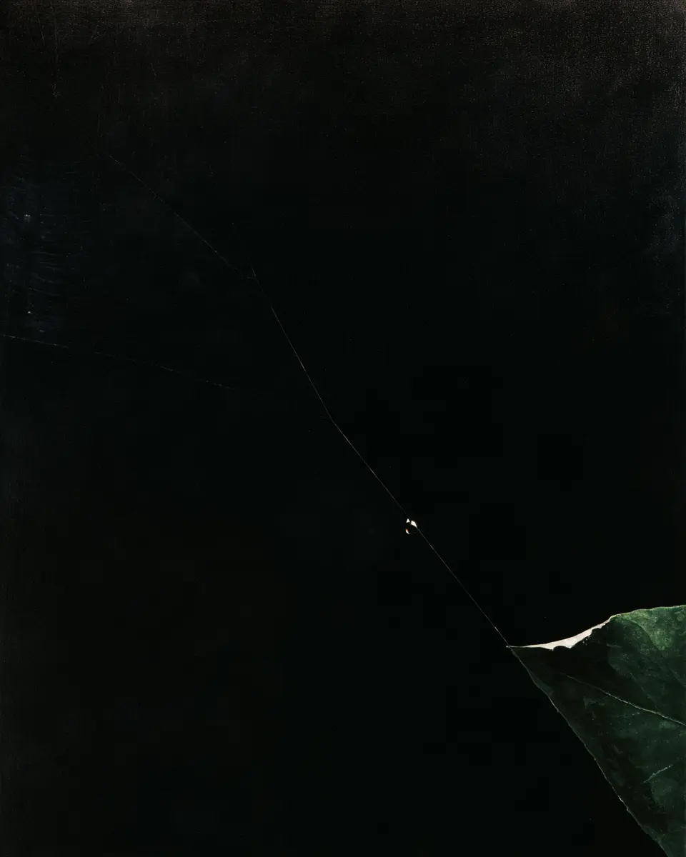 Minimal dark abstract composition with a leaf and suspended filament